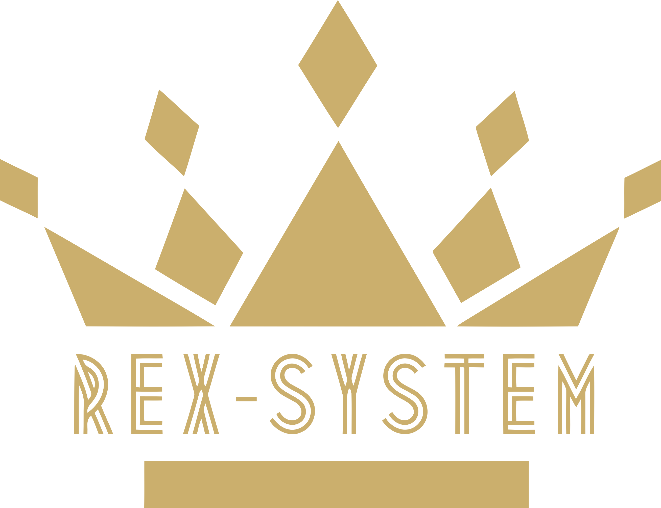 Logo Rex-System